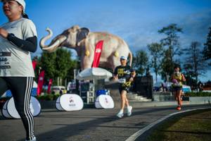 BIB: 
                            <button type="button" onclick="openModal(26541654)" class="btn btn-primary btn-sm float-right btn-popup" data-toggle="modal" data-target=".modal-high-quality">
                        <i class="fas fa-shopping-cart"></i> Add to Cart
                    </button>
                                            <button type="button" onclick="isThisMe(26541654, true)" class="btn btn-success btn-sm float-right btn-popup btn-isme hidden" data-toggle="tooltip" data-placement="bottom" title="นี่คือรูปของคุณใช่ไหม คลิกที่นี่เพื่อเอาเข้าอัลบั้ม">
                        <i class="fas fa-plus"></i> Add to album
                    </button>
                    <button type="button" onclick="isThisMe(26541654, false)" class="btn btn-warning btn-sm float-right btn-popup btn-isnotme hidden">
                        <i class="fas fa-ban"></i> Remove from album
                    </button>